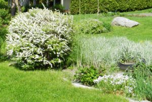 Lawn Treatments Arnold MD