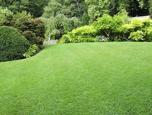 Lawn Treatments Crownsville MD