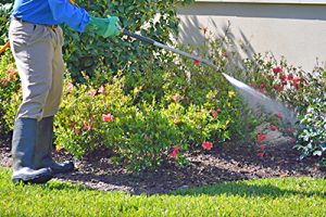 Lawn Care & Lawn Treatments Pasadena MD - On The Green ...