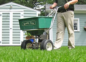 Lawn Treatments Severn MD
