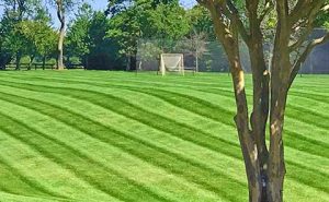 lawn care services on the green inc arnold md maryland