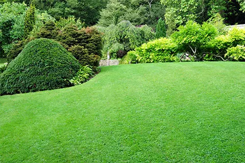 Lawn Care Tree Shrub Irrigation, Complete Landscaping Services Inc Bowie Md 20716