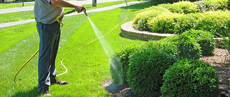 lawn care services on the green inc pasadena md maryland