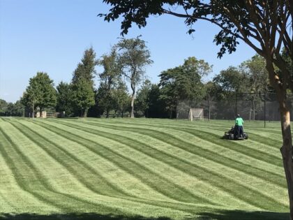 lawn mowing practices on the green inc