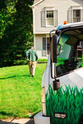 Tree and Shrub Care– How to Protect Your Investment