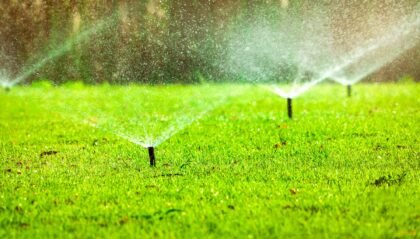 The Science of Watering a Lawn on the green