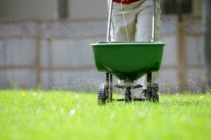 on the green lawn care services in Columbia