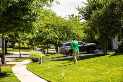 Ant Control Services in Crofton, MD on the green inc