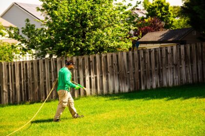 Ant Control Services in Severn, MD on the green inc