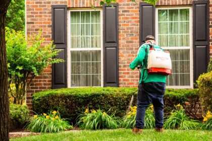Ant Control Services in Annapolis