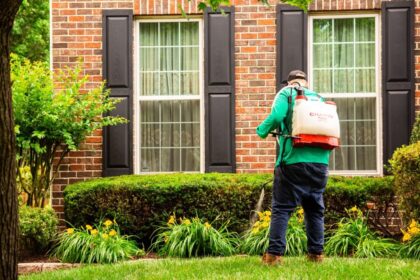 on the green mosquito control services in Glen Burnie on the green mosquito control services in Glen Burnie