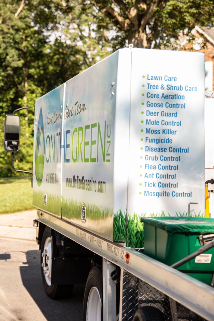 Ant Control Services in Ellicott City, MD on the green inc