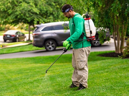 Tick Control Services in Edgewater, MD on the green inc