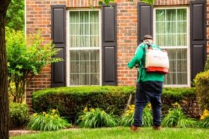 Tick Control Services in Glen Burnie, MD on the green inc