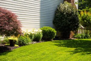 Preparing Your Trees and Shrubs for Spring on the green inc