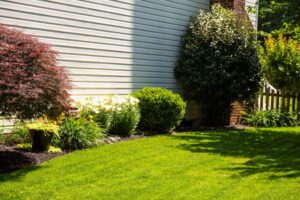 Protecting Your Grass from Summer Lawn Stress on the green inc