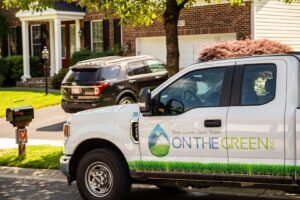 Aerating and Overseeding: 2 Secrets for a Beautiful Lawn on the green inc