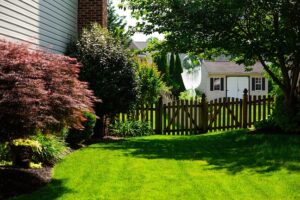 Tree and Shrub Care Services in Arnold, MD on the green inc